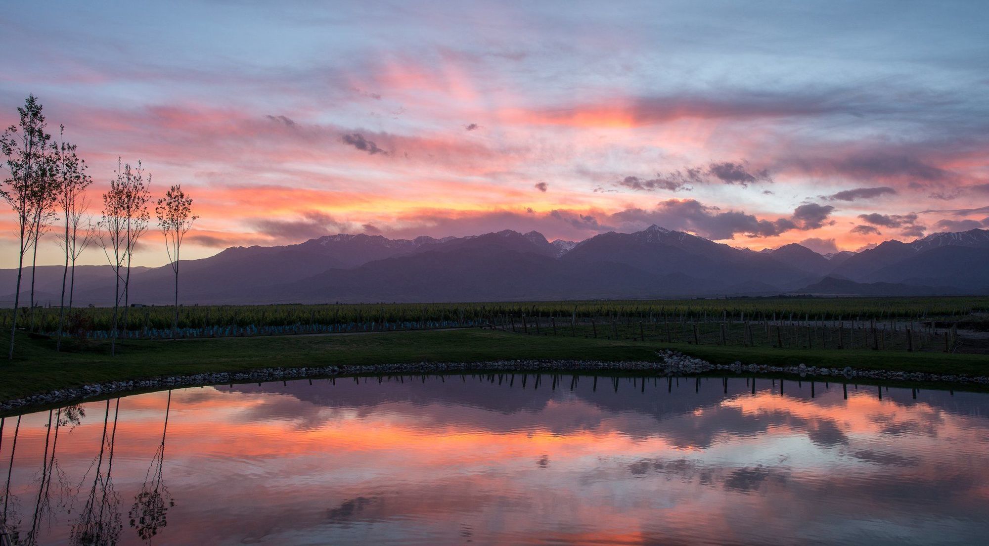 The Vines Resort & Spa Los Sauces  Exteriör bild