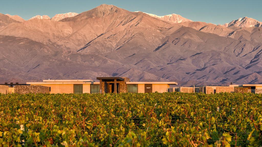 The Vines Resort & Spa Los Sauces  Exteriör bild